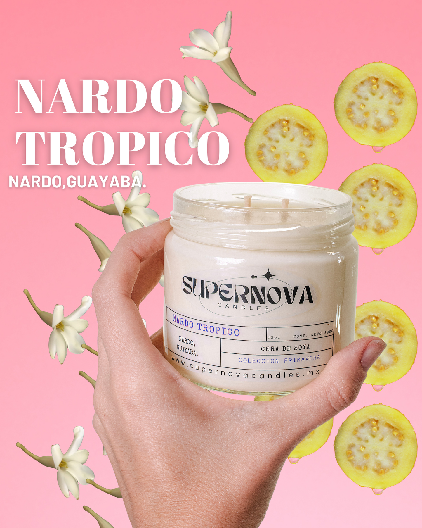 Nardo Tropico 🌸