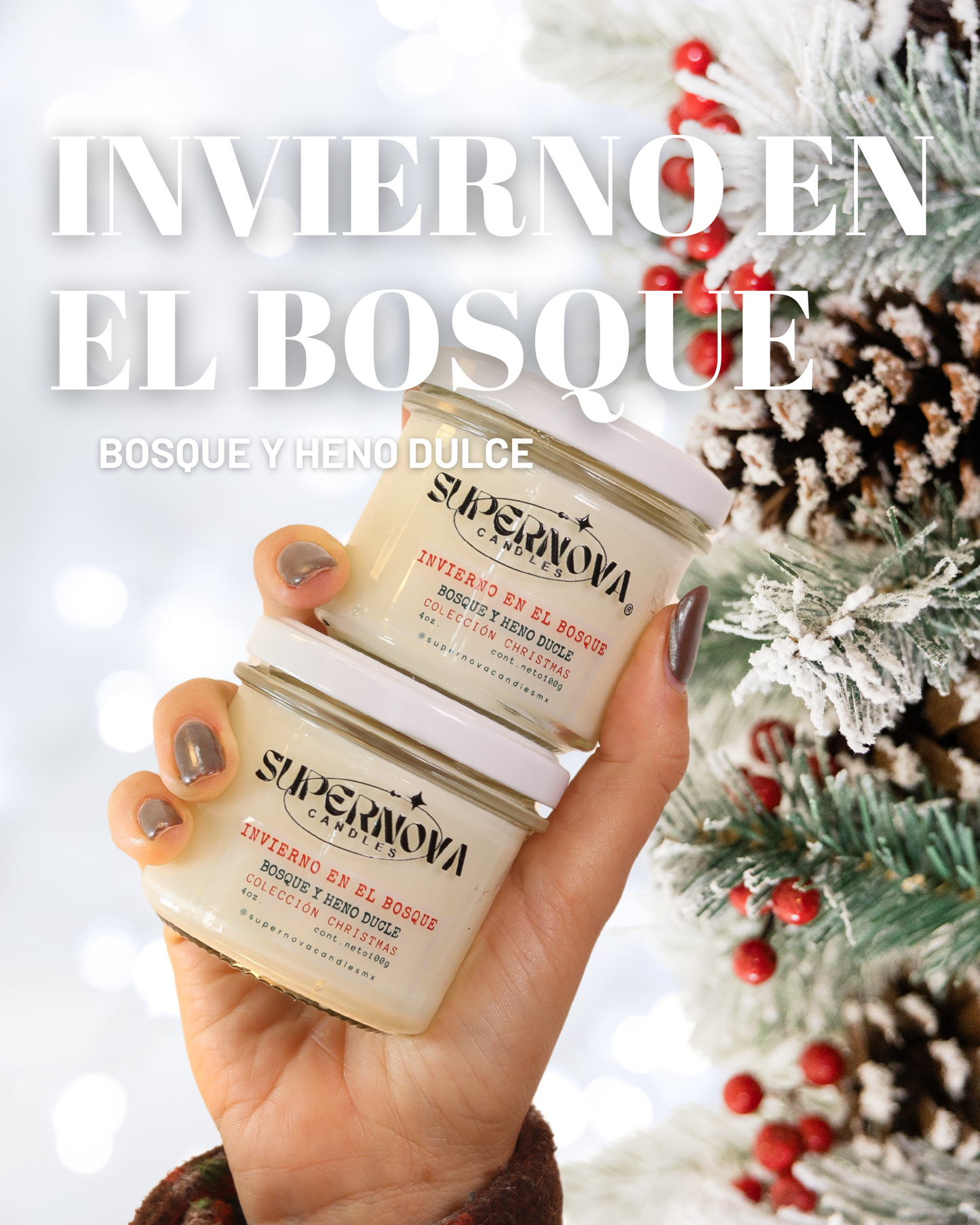 Invierno en el Bosque 🌲❄️